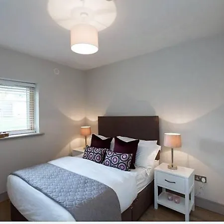 Apartment Large Corporate Apt Beside Sandyford Business Park