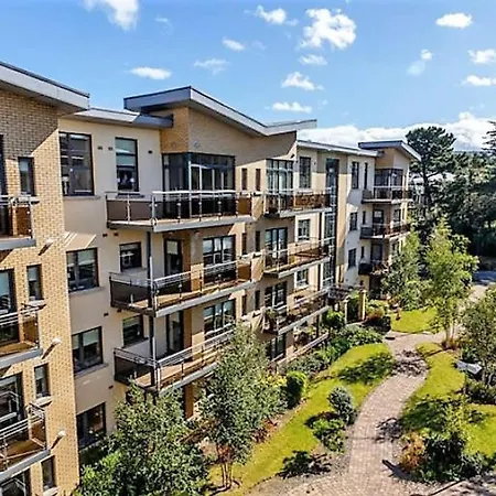 Large Corporate Apt Beside Sandyford Business Park Apartment