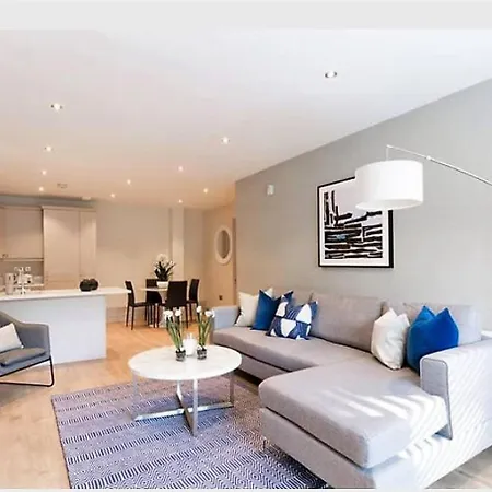 Large Corporate Apt Beside Sandyford Business Park Apartment *
